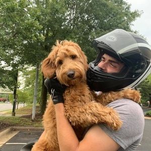 Meet your Posher, Noah